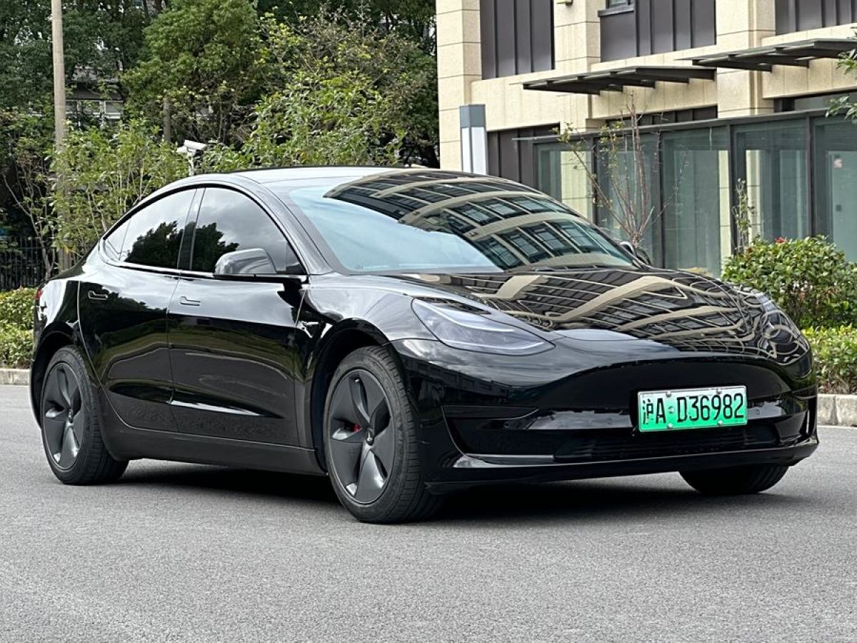 特斯拉 Model 3  2020款 改款 標(biāo)準(zhǔn)續(xù)航后驅(qū)升級(jí)版圖片