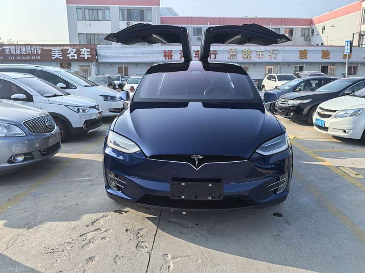 特斯拉 Model X  2016款 Model X 75D圖片