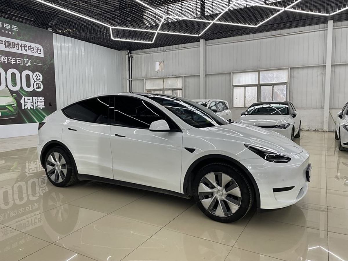 特斯拉 Model 3  2020款 改款 長續(xù)航后輪驅(qū)動(dòng)版圖片