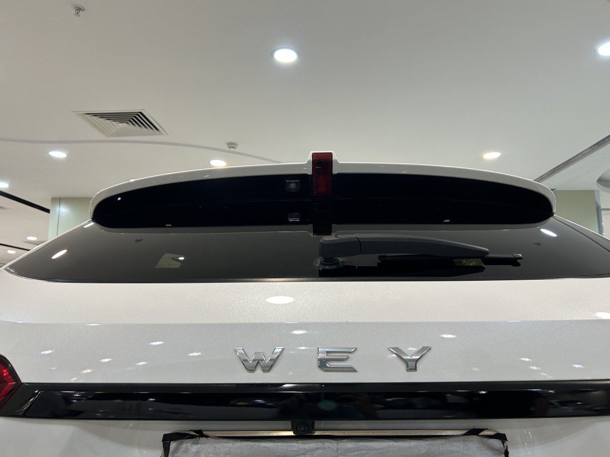WEY VV5 2019 upgraded 2.0T two-drive flagship model图片