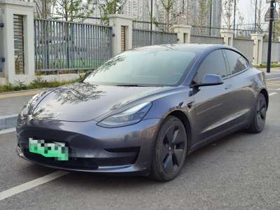 2021年09月 特斯拉 Model 3 標(biāo)準(zhǔn)續(xù)航后驅(qū)升級版 3D6圖片