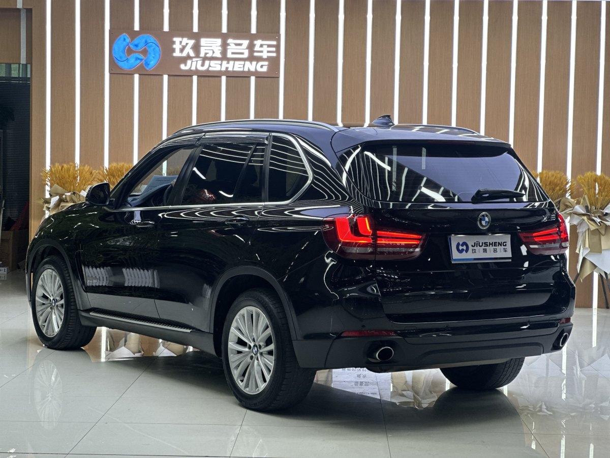 寶馬 寶馬X5  2014款 xDrive35i 領(lǐng)先型圖片