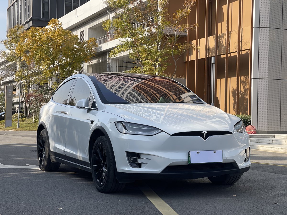 特斯拉 Model X  2019款 標(biāo)準(zhǔn)續(xù)航版圖片