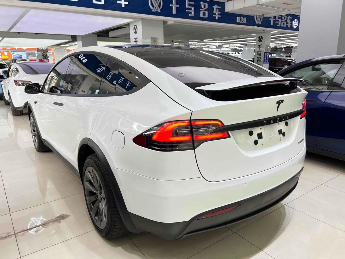 2020年3月特斯拉 Model X  2019款 長續(xù)航版