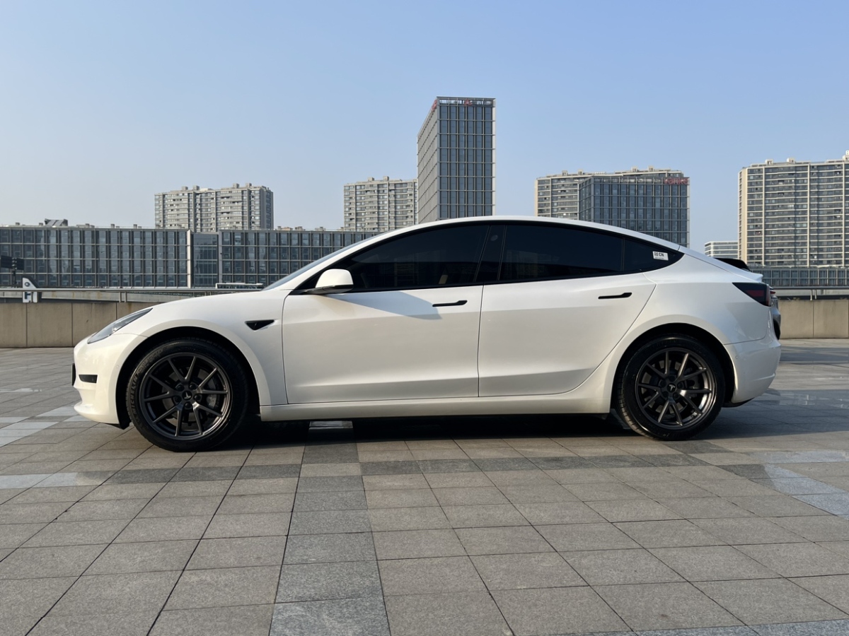 特斯拉 Model 3  2019款 標(biāo)準(zhǔn)續(xù)航后驅(qū)升級版圖片