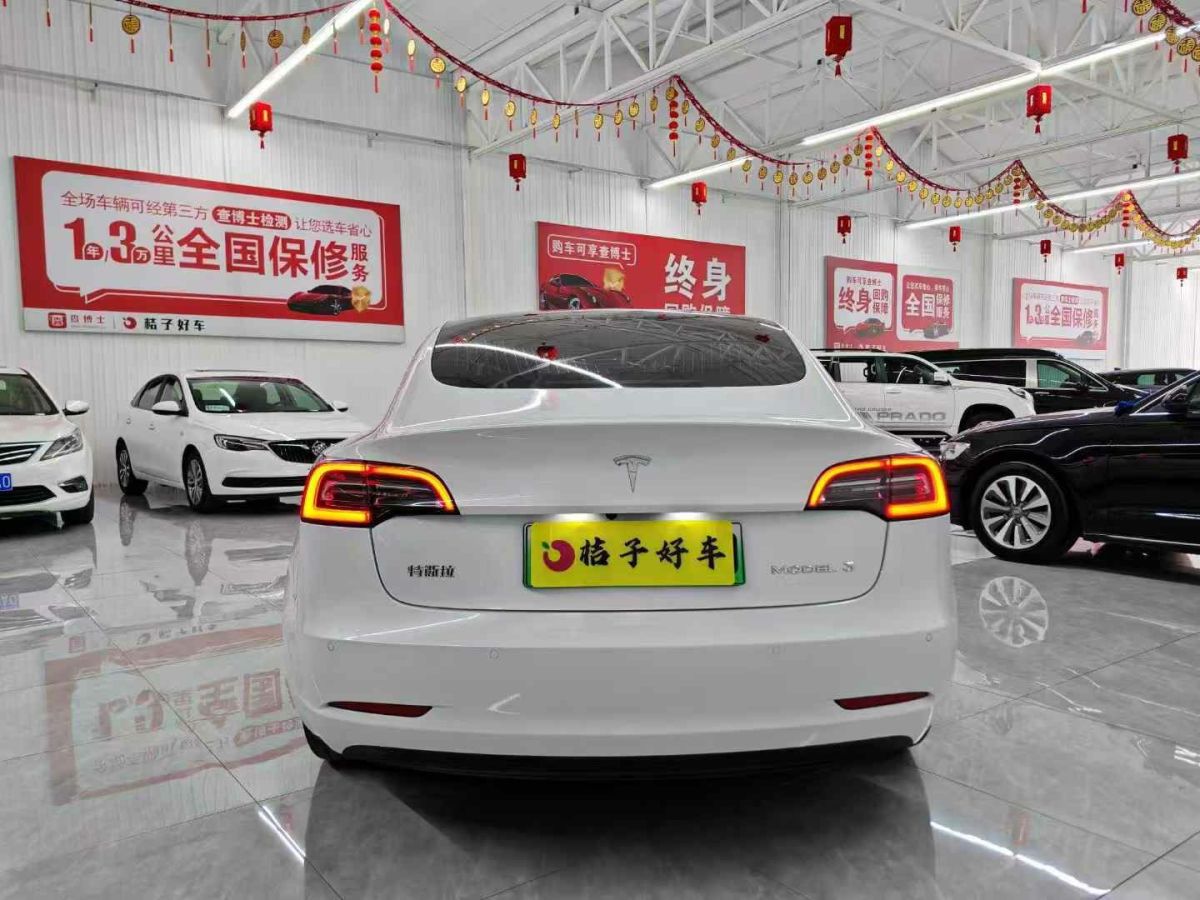 特斯拉 Model X  2020款 Performance 高性能版圖片