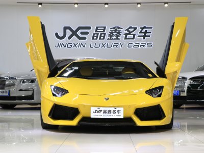 2014年1月 兰博基尼 Aventador LP 700-4 Roadster图片