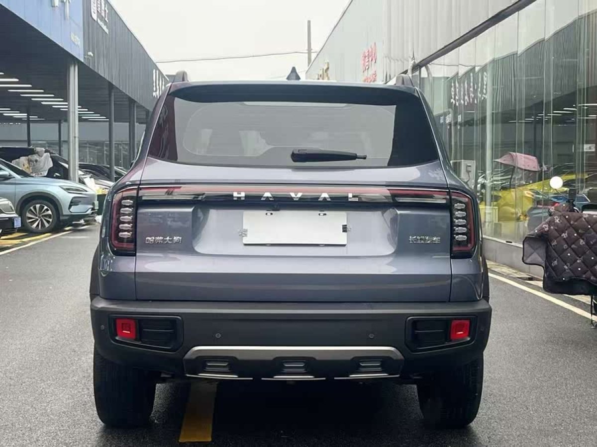 哈弗 哈弗大狗  2024款 1.5T DCT拉布拉多版圖片