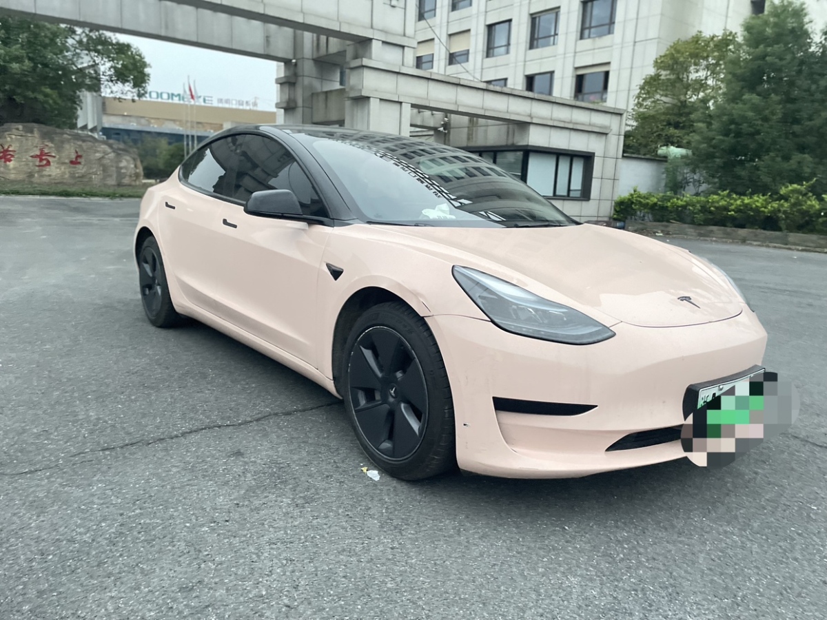 特斯拉 Model 3  2019款 標準續(xù)航后驅升級版圖片