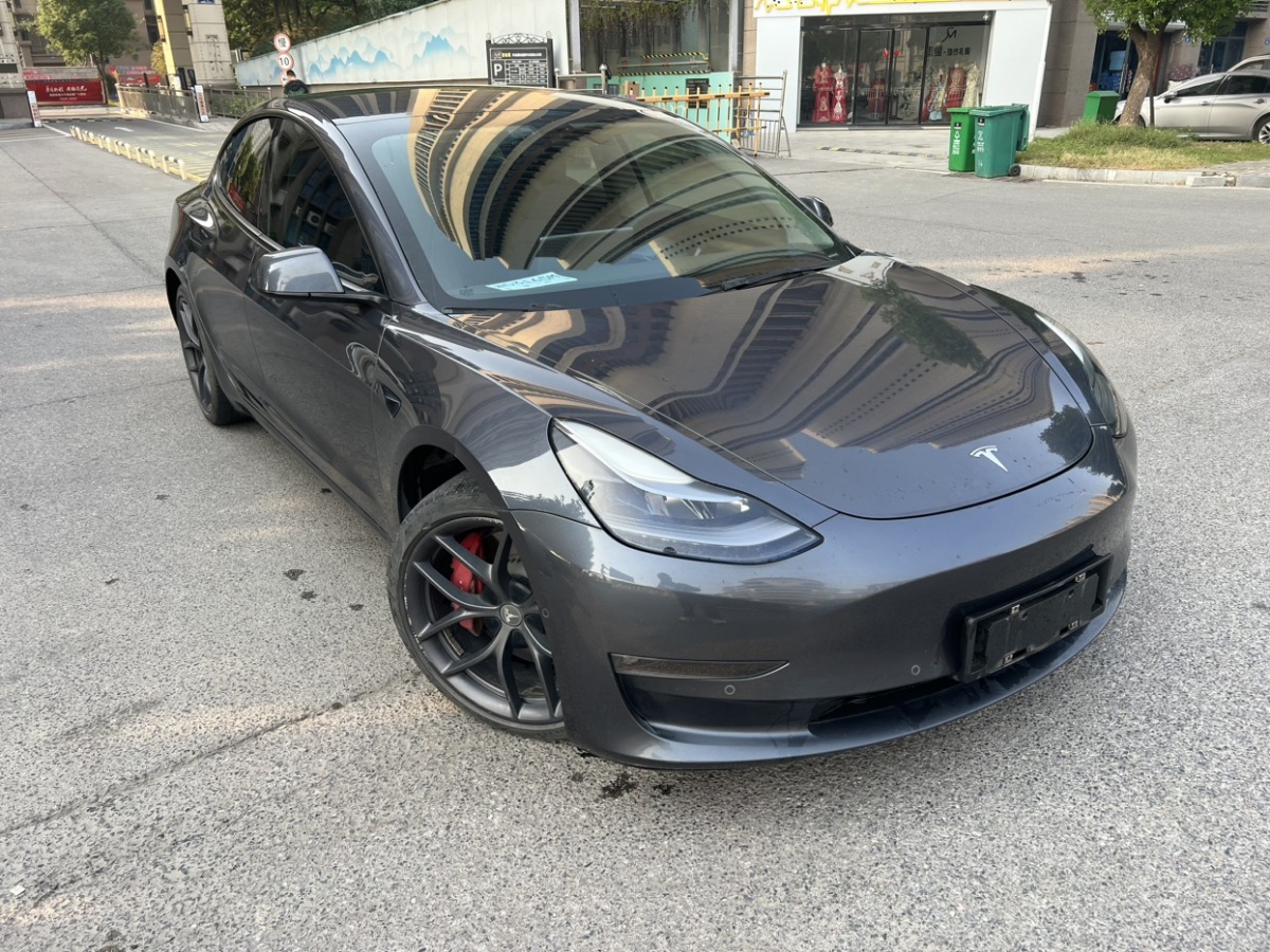 特斯拉 Model 3  2021款 Performance高性能全輪驅(qū)動版圖片