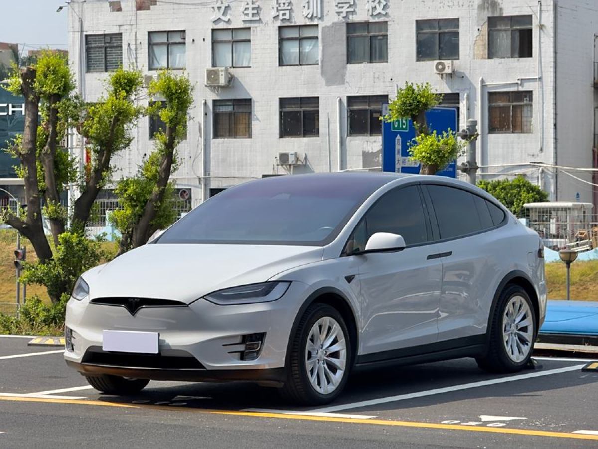 特斯拉 Model X  2019款 長(zhǎng)續(xù)航版圖片