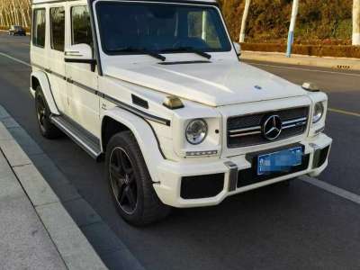 2013年6月 奔馳 奔馳G級AMG AMG G 65圖片