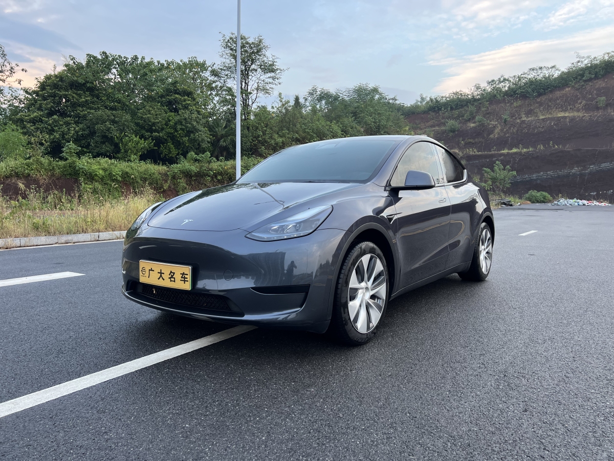 特斯拉 Model Y  2020款 改款 長續(xù)航后輪驅(qū)動版圖片