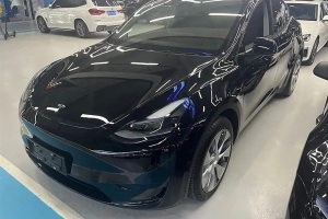 Model Y 特斯拉 后輪驅(qū)動版