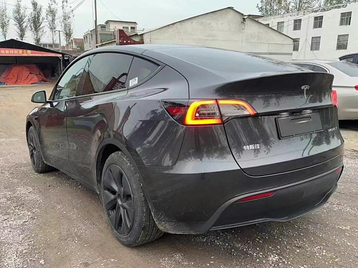 特斯拉 Model 3  2020款 改款 長續(xù)航后輪驅(qū)動版圖片