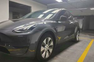 Model Y 特斯拉 Performance高性能版