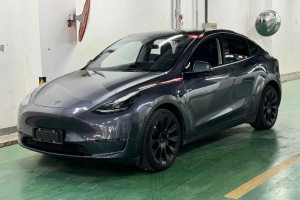 Model Y 特斯拉 长续航焕新版 双电机全轮驱动