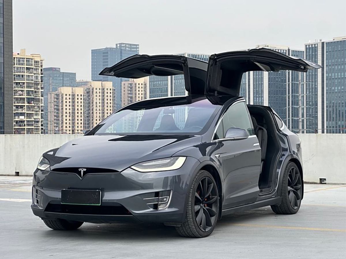 特斯拉 Model X  2019款 長續(xù)航版圖片