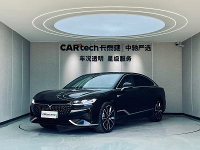 2024年1月  岚图追光 PHEV 四驱超长续航行政版图片