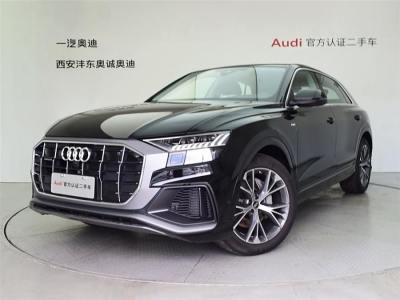 2024年8月 奧迪 奧迪Q8(進口) 55 TFSI 豪華動感型圖片