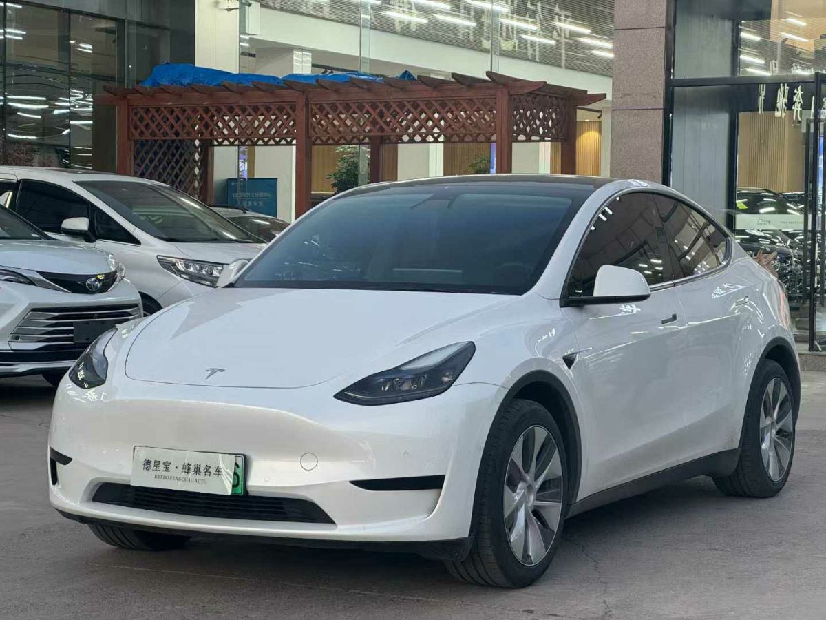 特斯拉 Model 3  2022款 Performance高性能全輪驅(qū)動版圖片