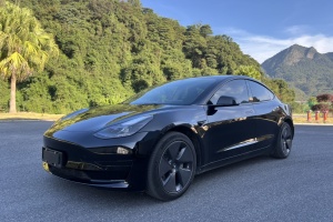 Model 3 特斯拉 改款 后輪驅(qū)動版