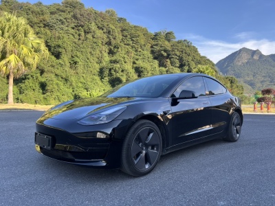 2023年6月 特斯拉 Model 3 改款 后輪驅(qū)動(dòng)版圖片