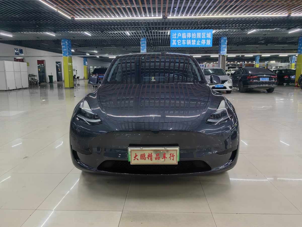 特斯拉 Model Y  2020款 改款 長(zhǎng)續(xù)航后輪驅(qū)動(dòng)版圖片