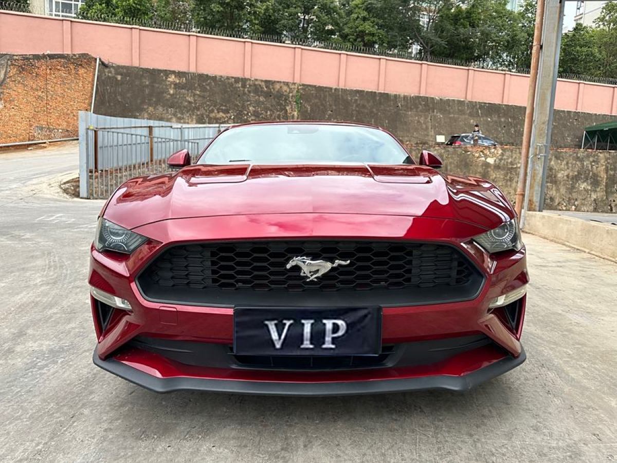 福特 Mustang  2015款 2.3T 50周年紀(jì)念版圖片