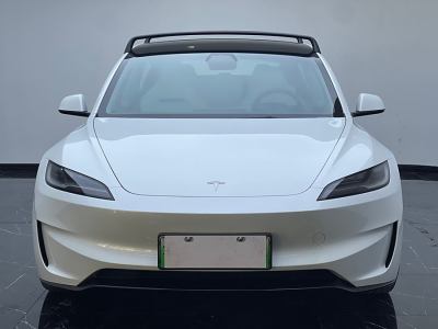 2024年6月 特斯拉 Model 3 高性能全輪驅(qū)動(dòng)版圖片