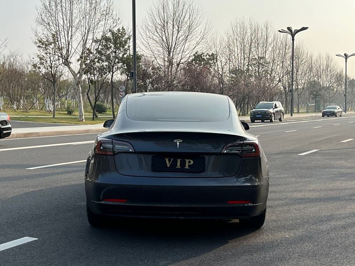 特斯拉 Model 3  2019款 長(zhǎng)續(xù)航后驅(qū)版圖片