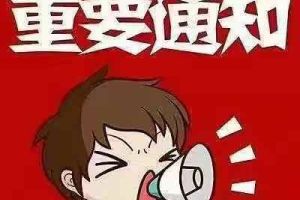 奧迪A6 奧迪 40 hybrid