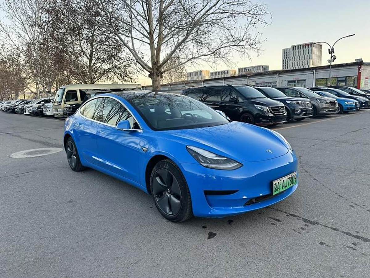 特斯拉 Model 3  2020款 改款 標(biāo)準(zhǔn)續(xù)航后驅(qū)升級版圖片