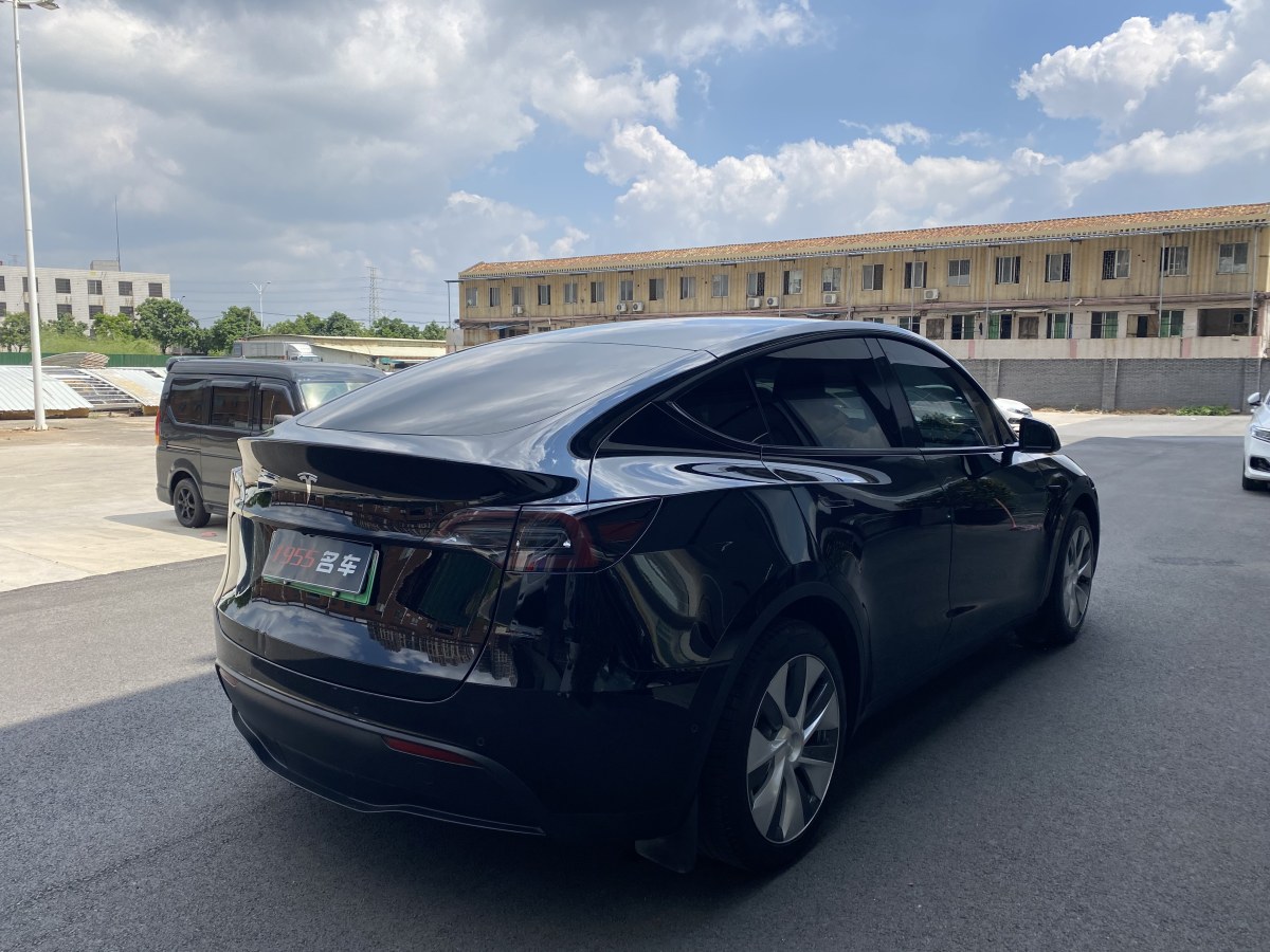 特斯拉 Model Y  2020款 改款 長續(xù)航后輪驅(qū)動版圖片