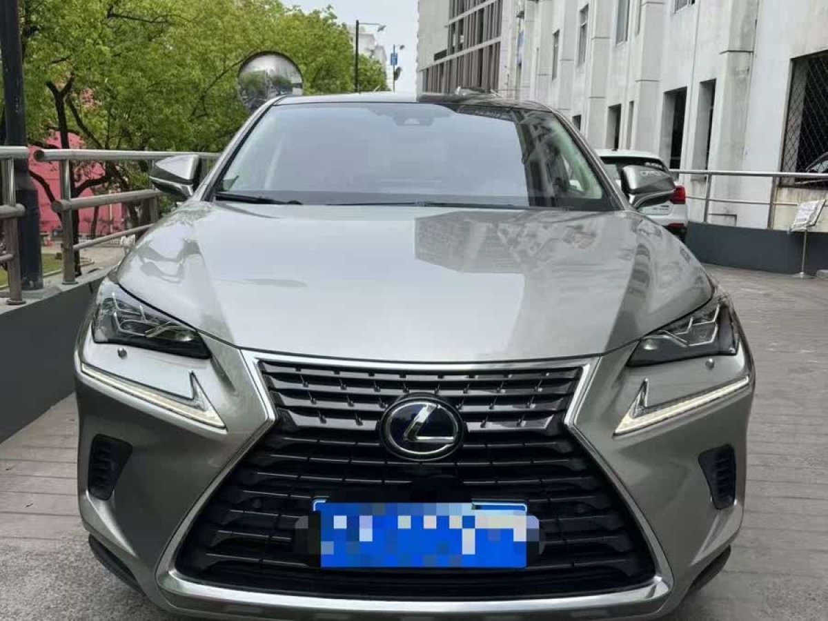 雷克薩斯 NX  2020款 300h 全驅(qū) 鋒致版 國(guó)VI圖片