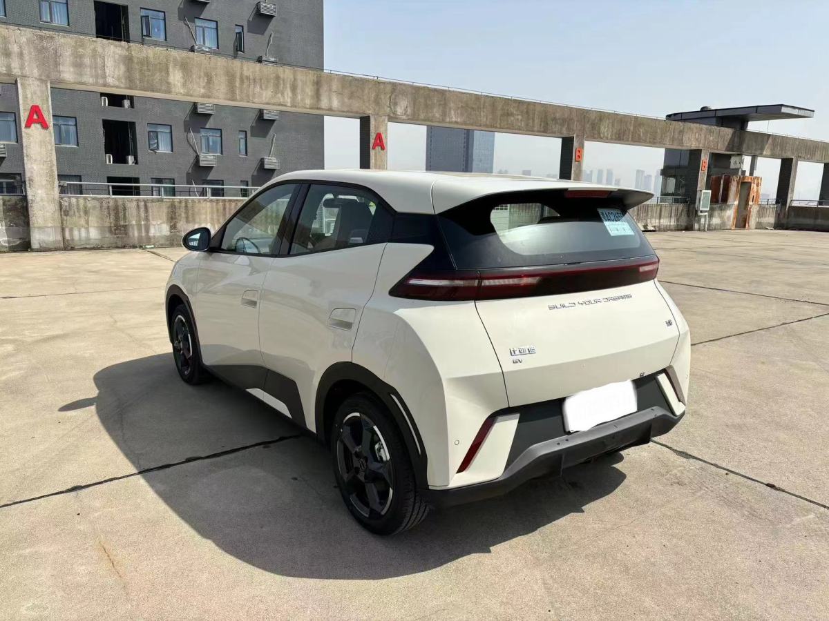 比亞迪 海鷗  2023款 活力版圖片