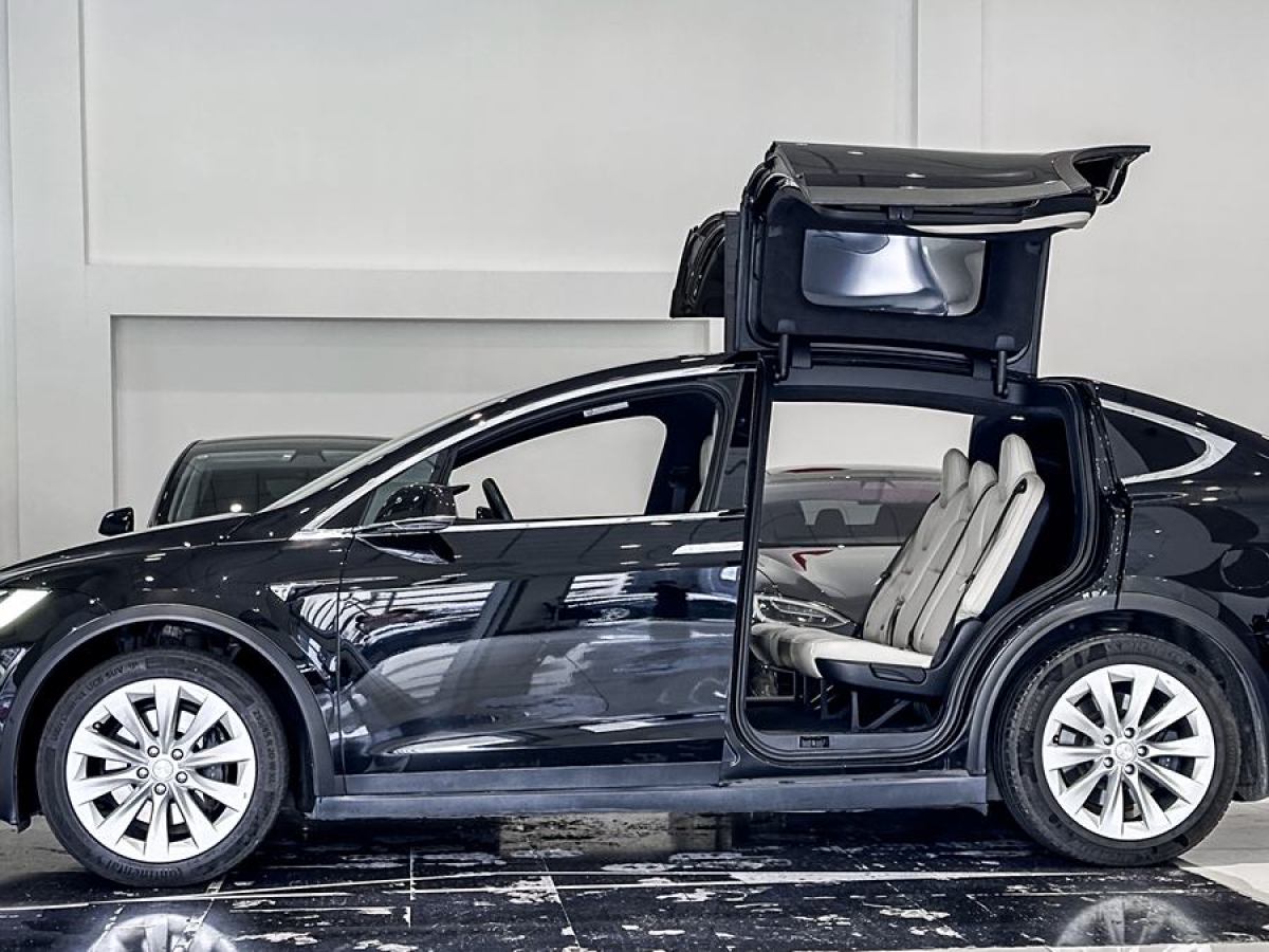 特斯拉 Model X  2019款 長續(xù)航版圖片