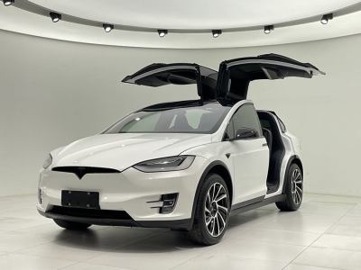 2019年11月 特斯拉 Model X 長(zhǎng)續(xù)航版圖片