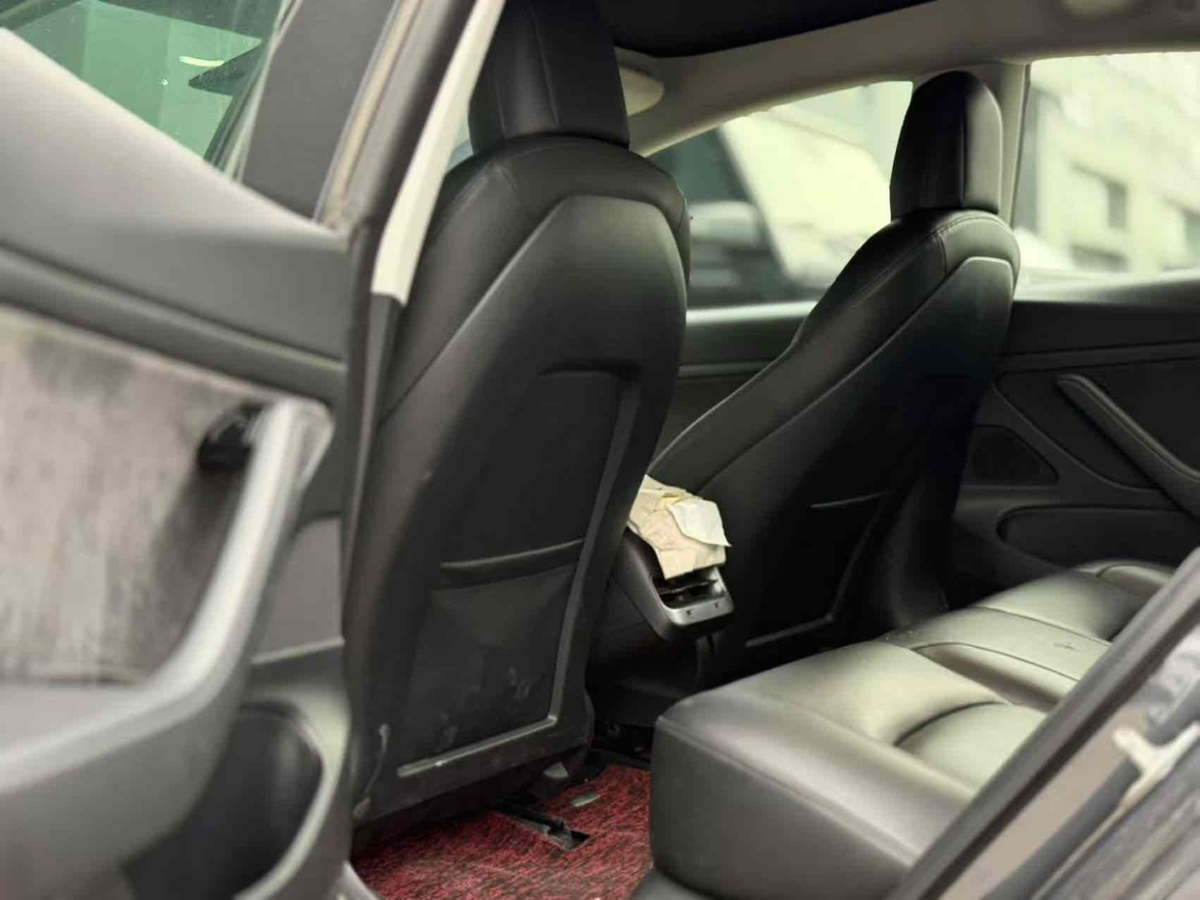 特斯拉 Model 3  2020款 標準續(xù)航后驅升級版圖片
