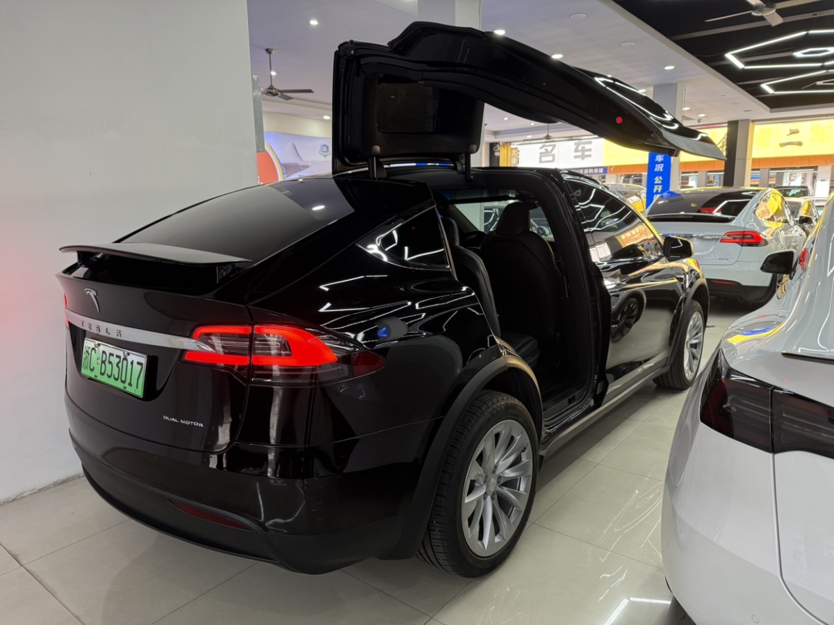 特斯拉 Model X  2020款 長續(xù)航升級版圖片