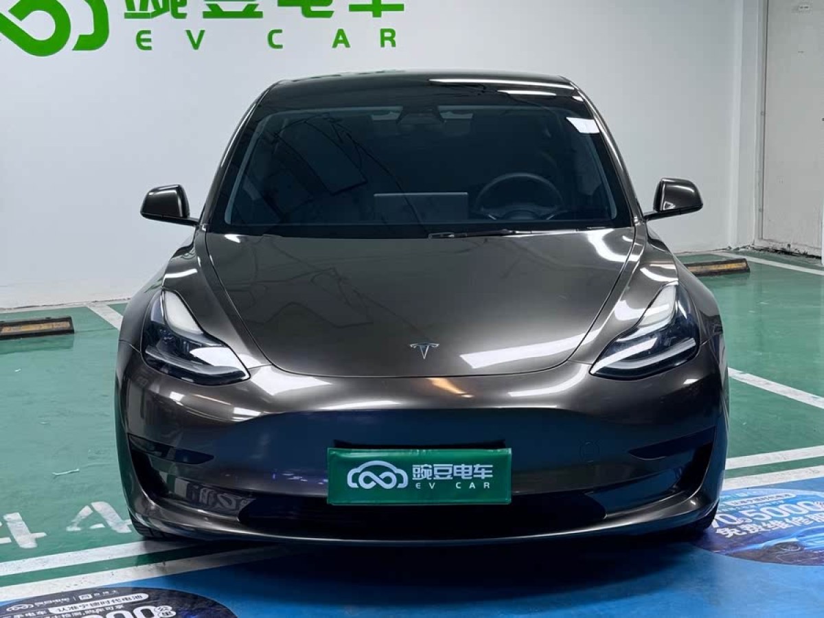 特斯拉 Model 3  2021款 標(biāo)準(zhǔn)續(xù)航后驅(qū)升級版 3D6圖片