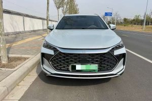 唐新能源 比亞迪 DM-i 榮耀版 112KM 尊榮型