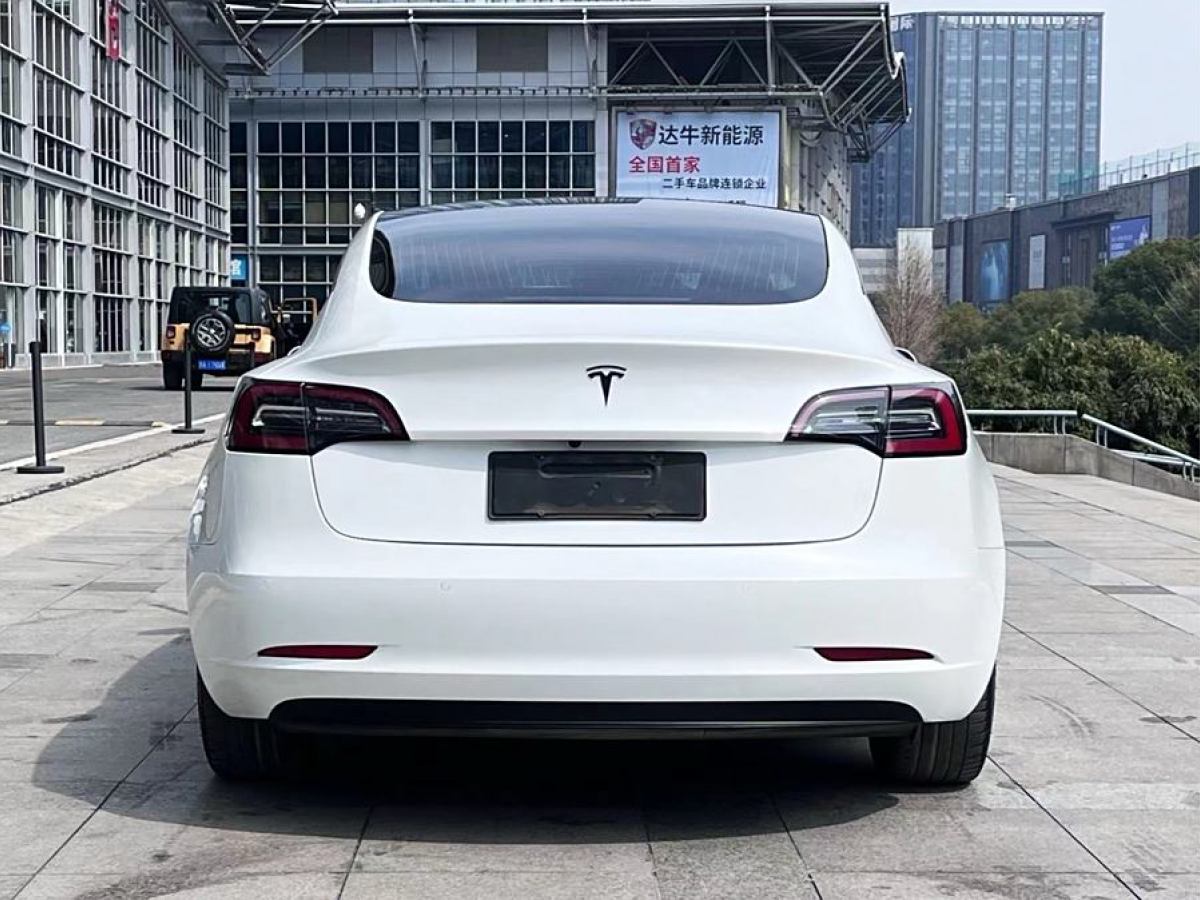 2020年5月特斯拉 Model 3  2019款 長續(xù)航全輪驅動版