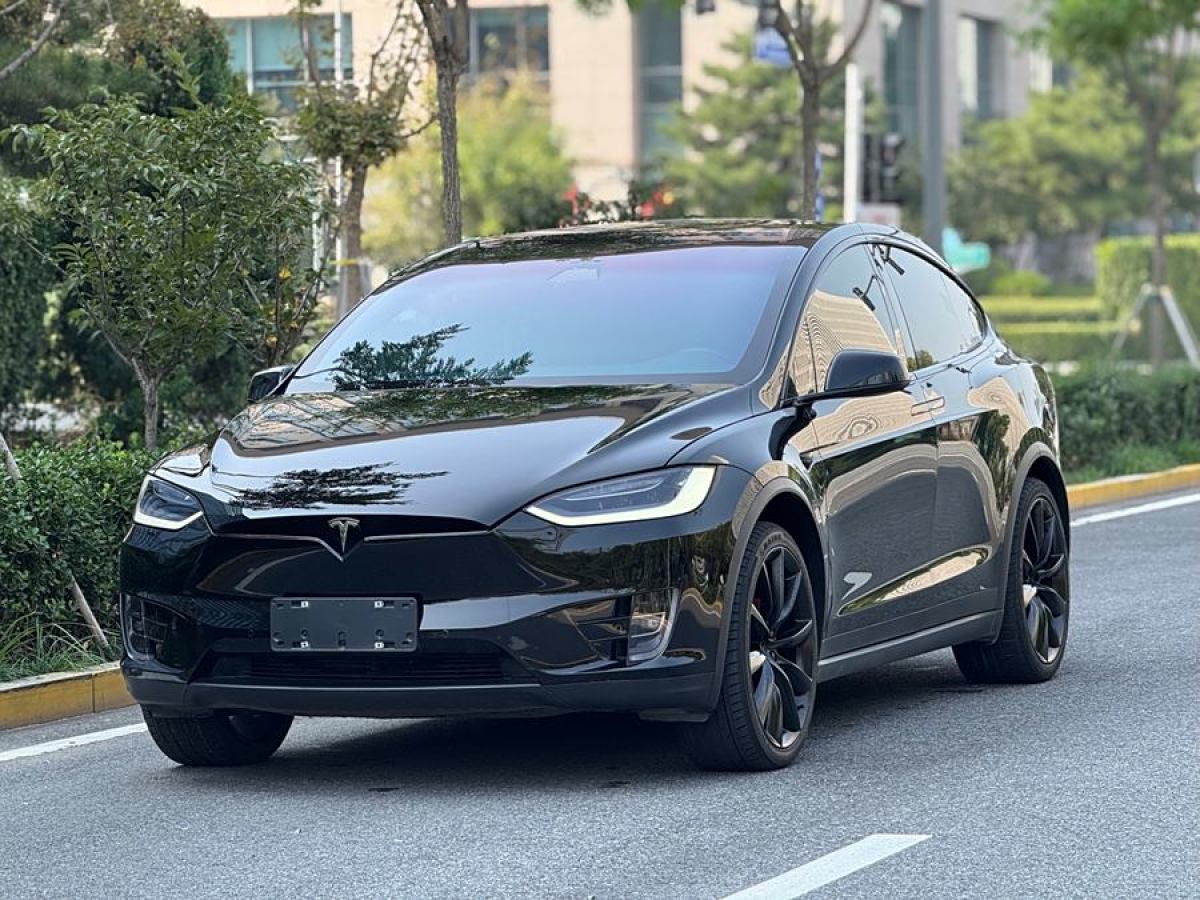 特斯拉 Model X  2020款 Performance 高性能版圖片