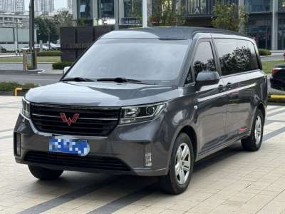 2022年8月 五菱 五菱征程 1.5T 手動(dòng)豪華型營運(yùn)車圖片