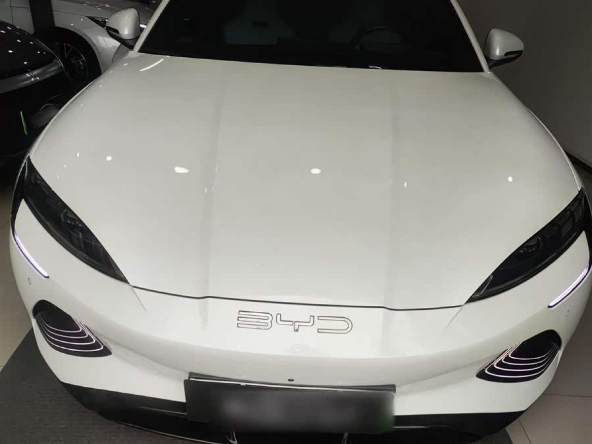 比亞迪 海豹  2023款 冠軍版 550km 尊貴型圖片