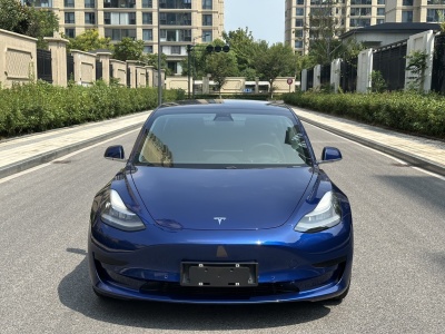 2020年10月 特斯拉 Model 3 标准续航后驱升级版图片