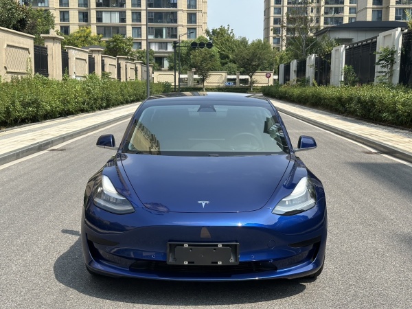 特斯拉 Model 3  2019款 标准续航后驱升级版