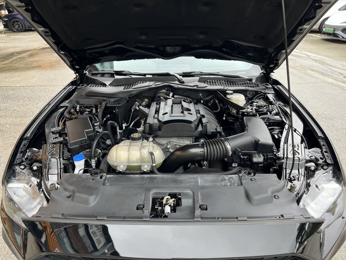 福特 Mustang  2021款 2.3L EcoBoost圖片