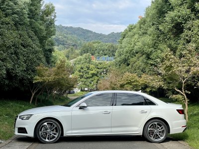 2019年2月 奧迪 奧迪A4L 40 TFSI 進取型 國V圖片